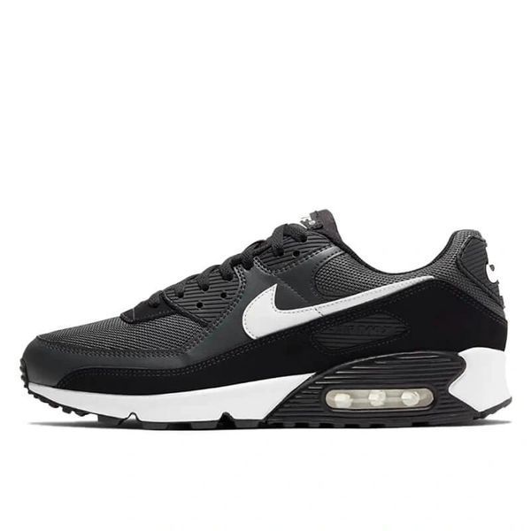 Кросівки Nike Air Max 90 Iron Grey CN8490-002 фото
