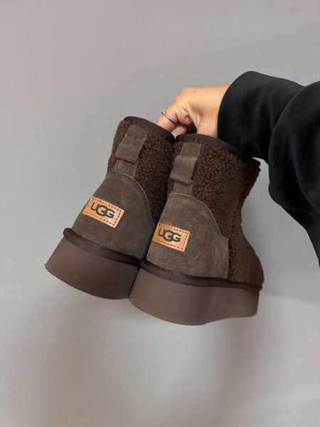 Жіночі Угі UGG Mini Platform Teddy Dark Chocolate 1065-CHO фото