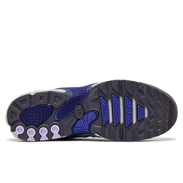 Кросівки чоловічі Nike Air Max TN Plus Drift Concord FD4290-007 фото