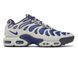 Кросівки чоловічі Nike Air Max TN Plus Drift Concord FD4290-007 фото 1