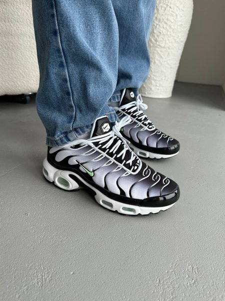 Кросівки чоловічі Nike Air Max TN Plus White Fresh Mint CD0609-106 фото