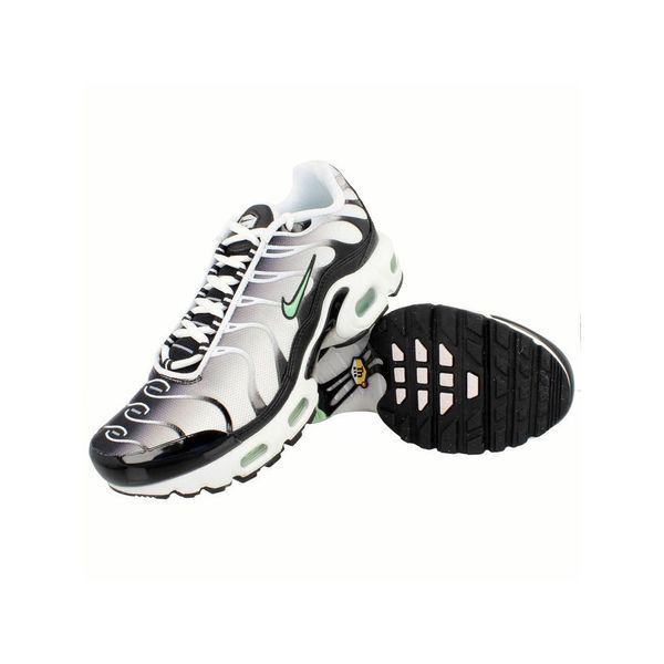 Кросівки чоловічі Nike Air Max TN Plus White Fresh Mint CD0609-106 фото