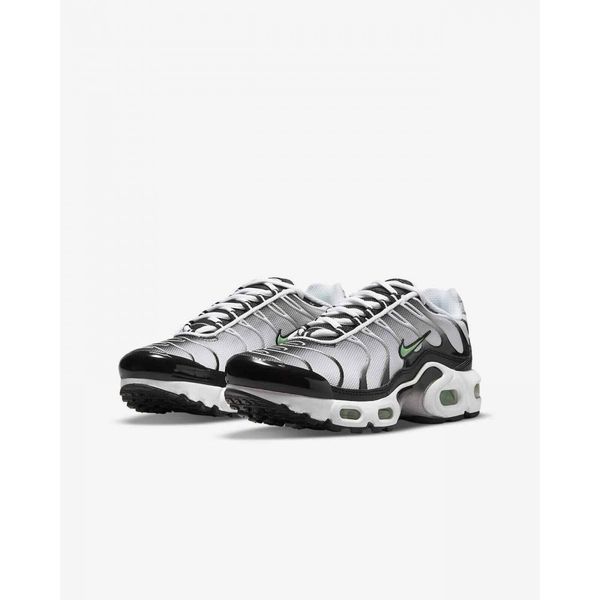 Кросівки чоловічі Nike Air Max TN Plus White Fresh Mint CD0609-106 фото