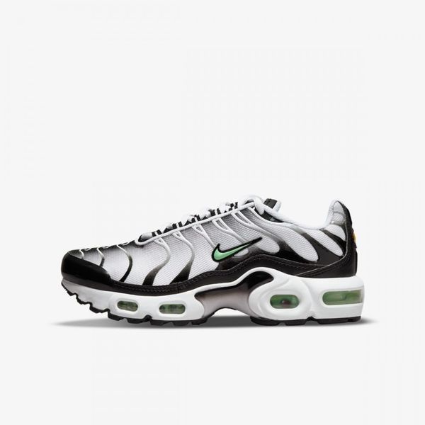 Кросівки чоловічі Nike Air Max TN Plus White Fresh Mint CD0609-106 фото