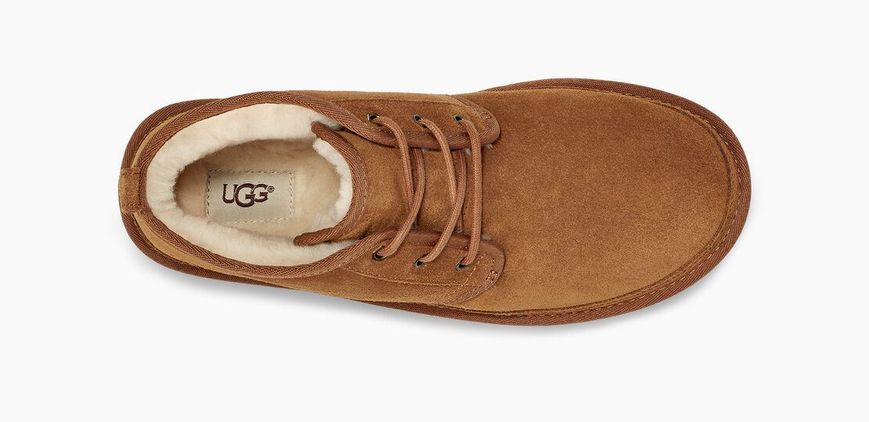 Чоловічі черевики UGG Neumel Chestnut 3236-CHE фото