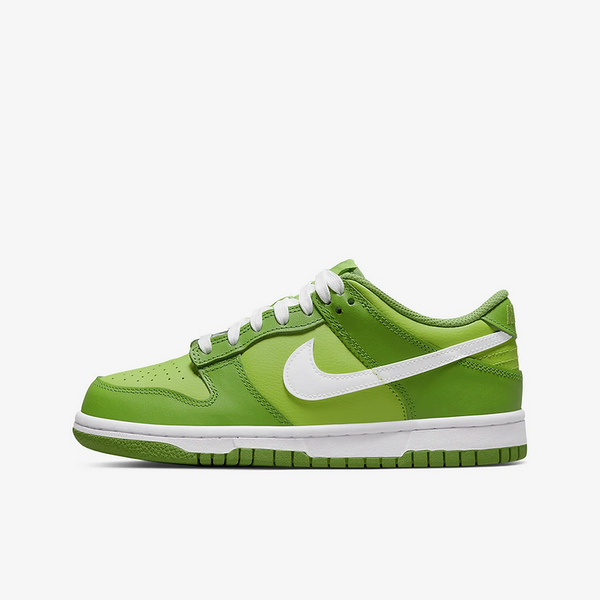 Кросівки чоловічі Nike SB Dunk Low Chlorophyll DH9765-301 фото