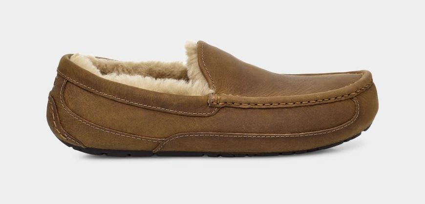 UGG Mens Ascot Matte Leather Slipper Chestnut 1103889-CHE фото