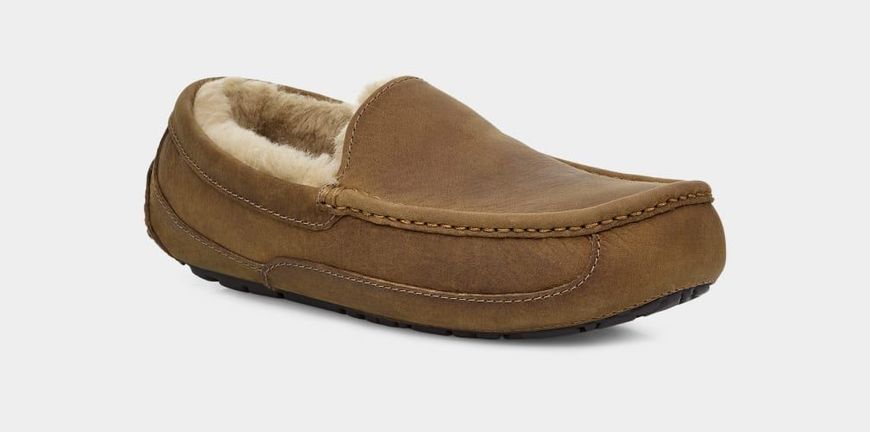 UGG Mens Ascot Matte Leather Slipper Chestnut 1103889-CHE фото