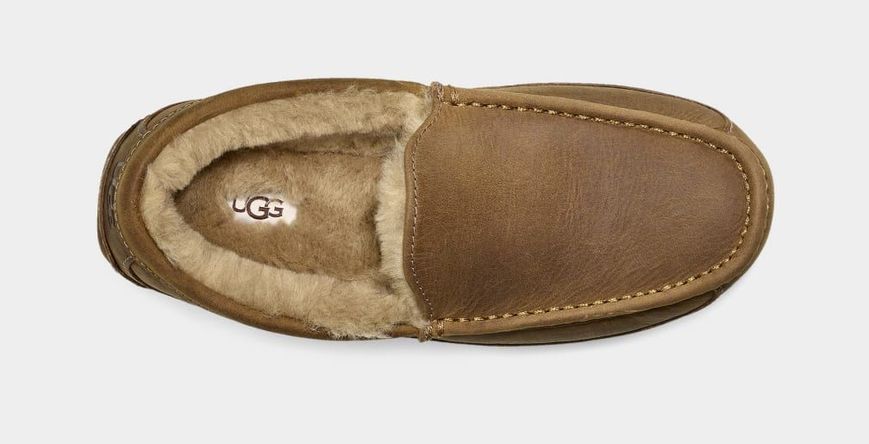 UGG Mens Ascot Matte Leather Slipper Chestnut 1103889-CHE фото