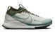 Кросівки чоловічі Nike React Pegasus Trail 4 Gore-Tex White FB2193-001 фото 1