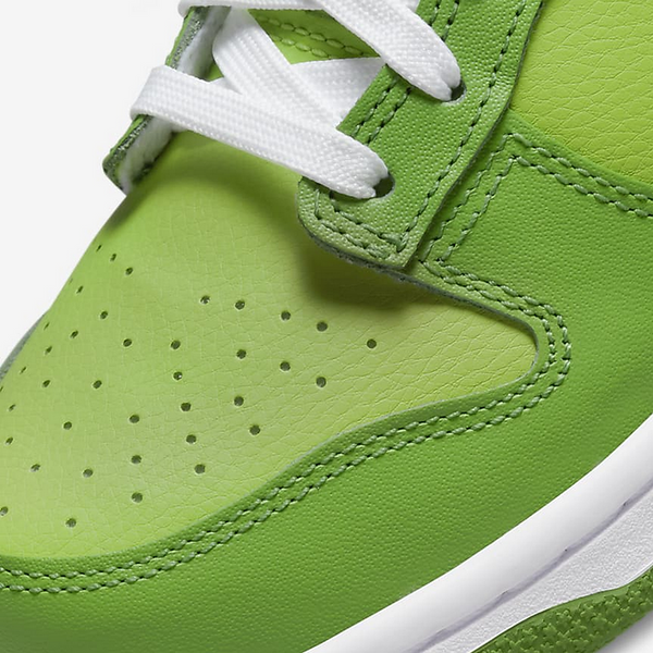 Кросівки чоловічі Nike SB Dunk Low Chlorophyll DH9765-301 фото