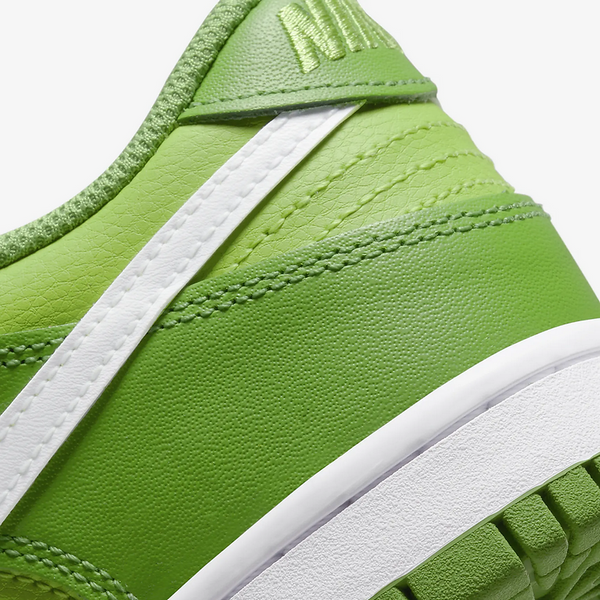 Кросівки чоловічі Nike SB Dunk Low Chlorophyll DH9765-301 фото