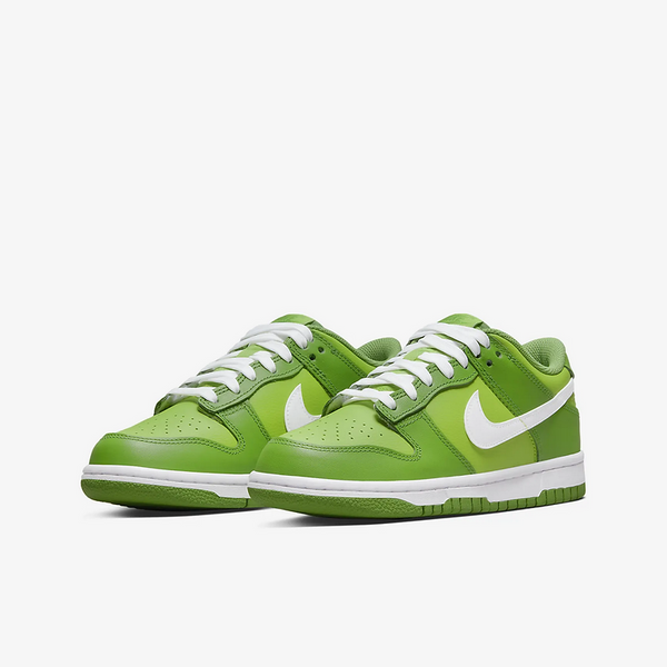 Кросівки чоловічі Nike SB Dunk Low Chlorophyll DH9765-301 фото