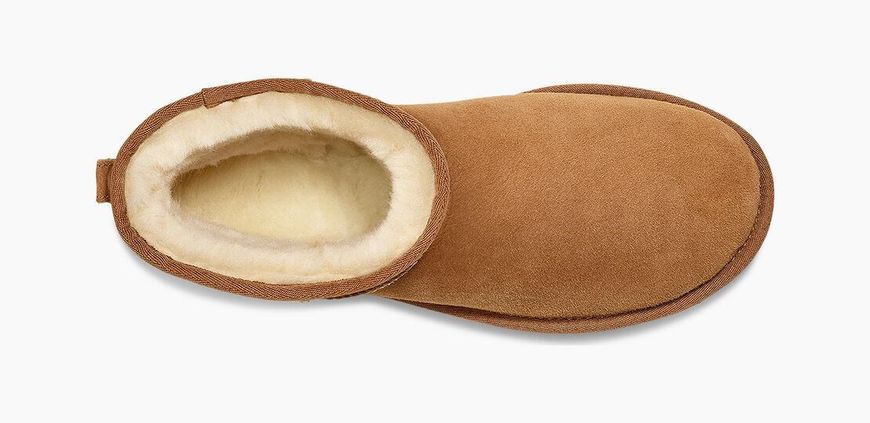 Мужские Угги UGG Mini Classic Chestnut 1002072-CHE фото